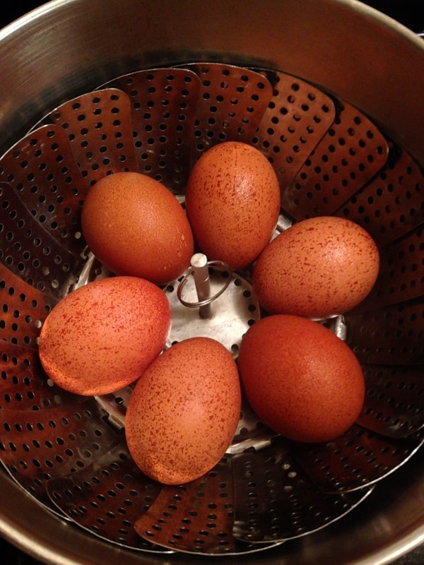 Welsummer Chicken Eggs