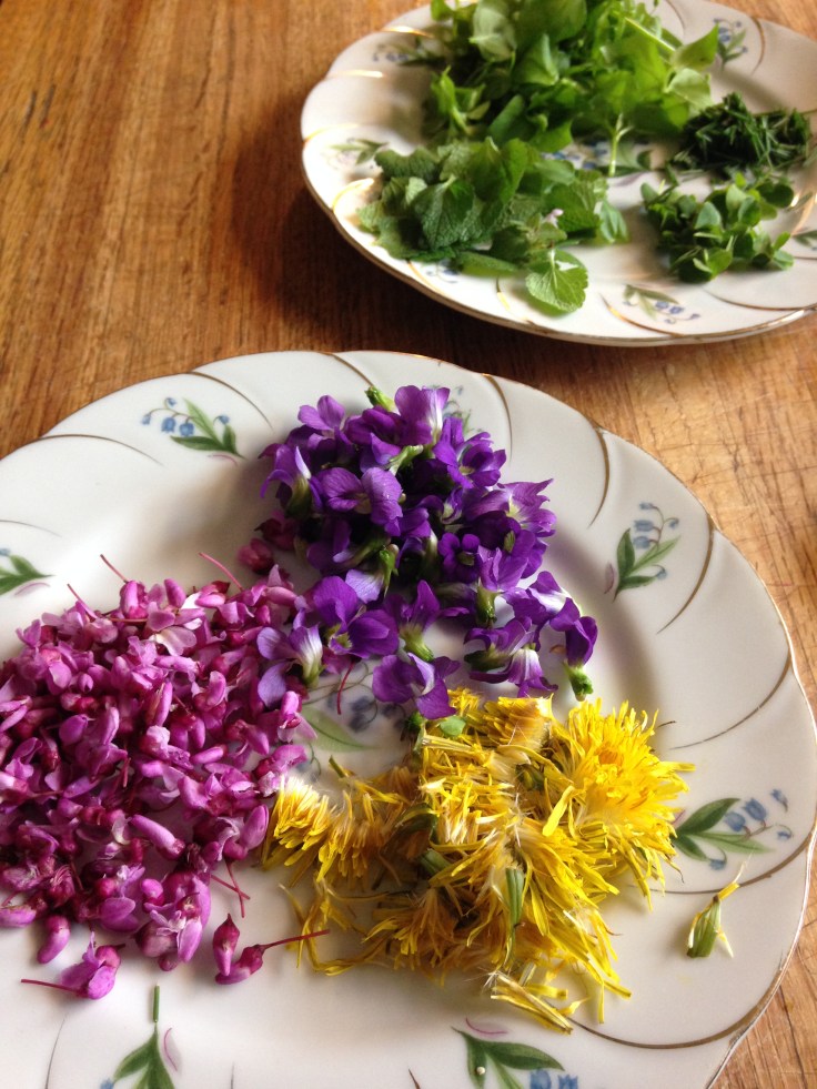 foraged ingredients