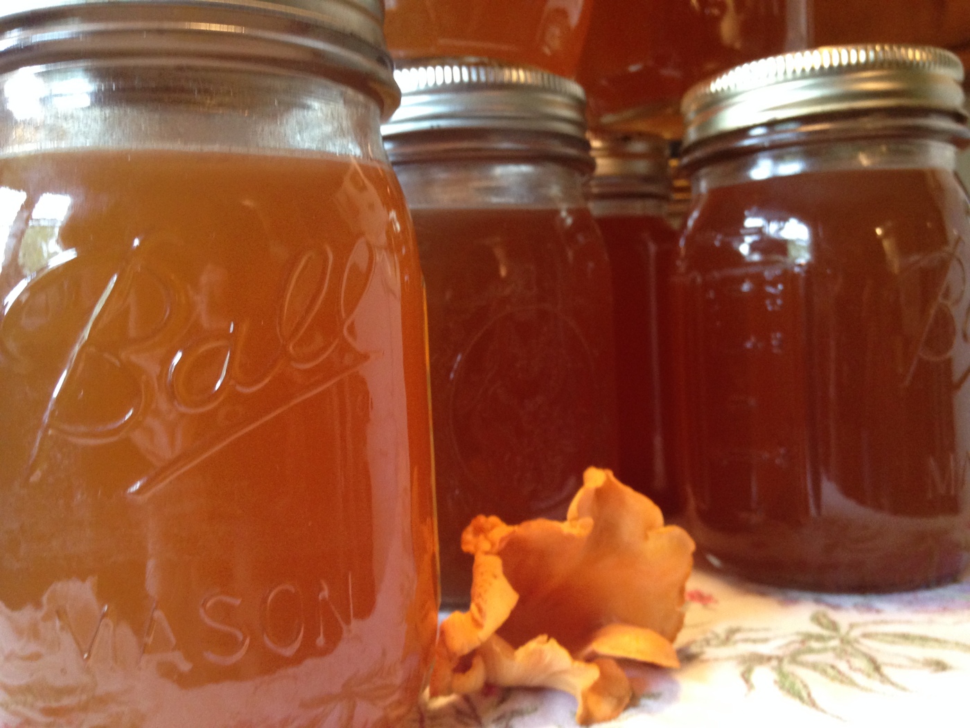 canned chanterelle stock with mushroom