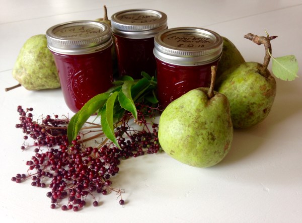 Jars of elderberry pear jam