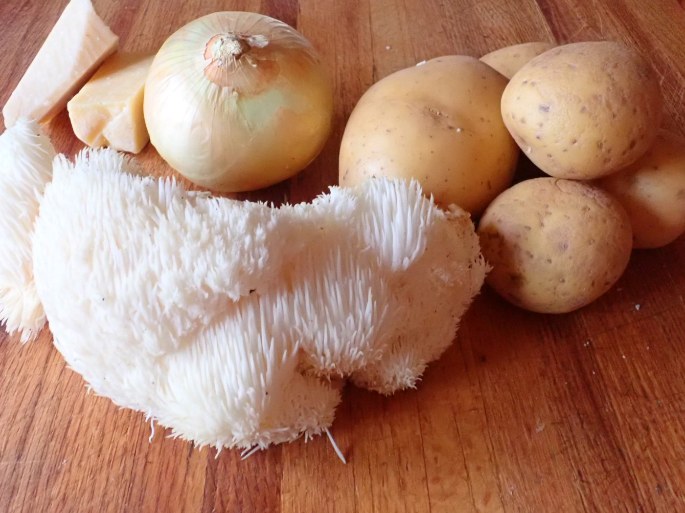 Hericium in kitchen