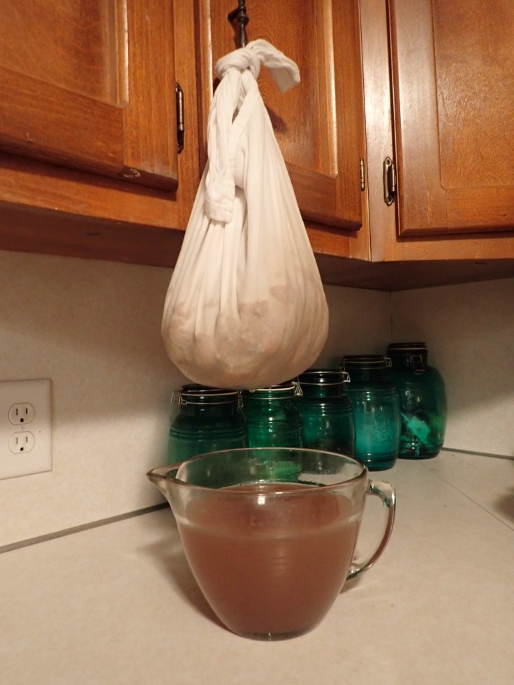 Juicing Fruit for Jelly